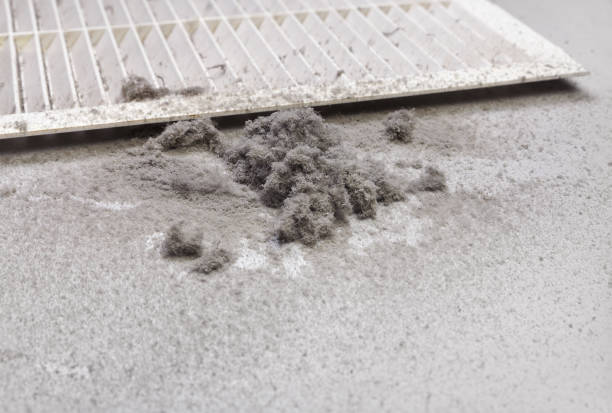 Best Air Vent Cleaning Services  in Gruver, TX