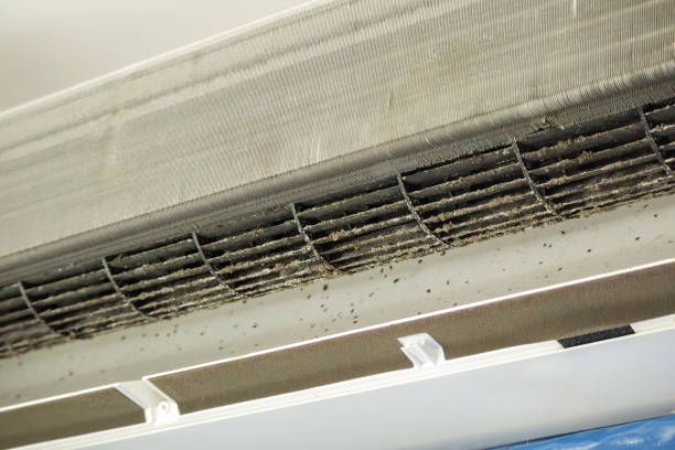 Best Ventilation Cleaning Services  in Gruver, TX